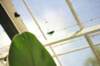 d120829k_0222_small.jpg
