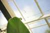 d120829k_0223_small.jpg