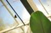 d120829k_0225_small.jpg
