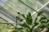 d120829k_0234_small.jpg