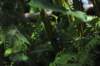 d120829k_0241_small.jpg