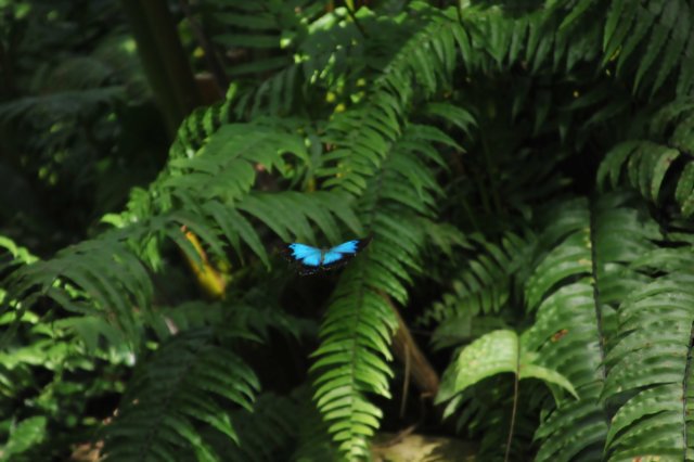 d120829k_0242.jpg