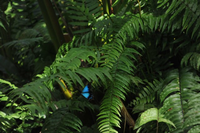 d120829k_0243.jpg