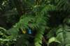 d120829k_0243_small.jpg