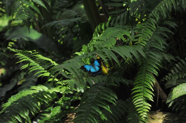 d120829k_0244.jpg