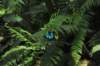 d120829k_0244_small.jpg