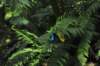 d120829k_0245_small.jpg