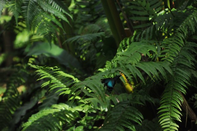 d120829k_0246.jpg