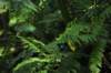 d120829k_0246_small.jpg
