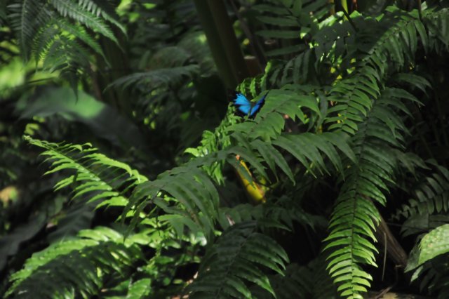 d120829k_0247.jpg