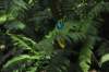 d120829k_0247_small.jpg