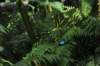 d120829k_0248_small.jpg