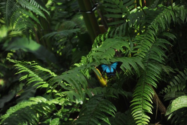 d120829k_0249.jpg