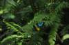 d120829k_0249_small.jpg