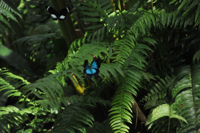 d120829k_0250.jpg