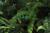 d120829k_0250_small.jpg