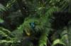d120829k_0251_small.jpg