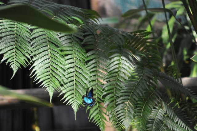 d120829k_0252.jpg