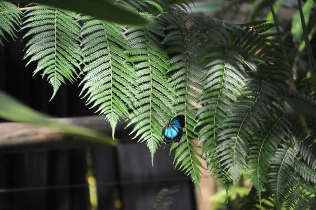 d120829k_0253.jpg