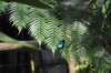 d120829k_0253_small.jpg