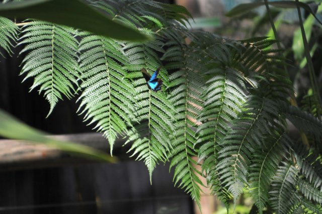 d120829k_0254.jpg