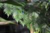 d120829k_0254_small.jpg