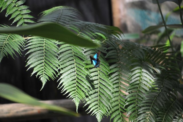 d120829k_0255.jpg