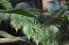 d120829k_0255_small.jpg
