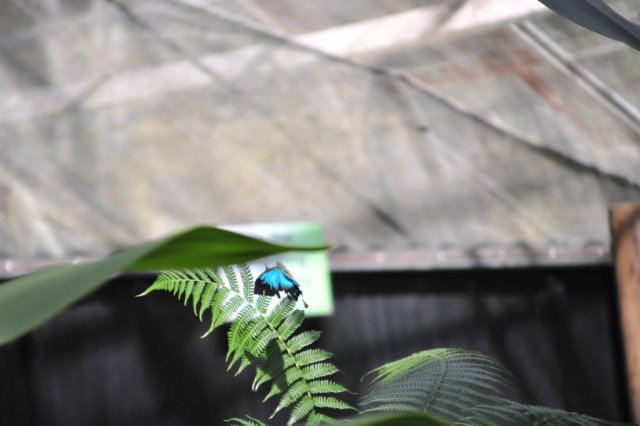 d120829k_0261.jpg