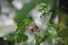 d120829k_0265_small.jpg
