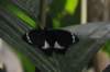d120829k_0266_small.jpg