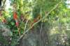 d120829k_0267_small.jpg
