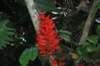 d120829k_0268_small.jpg
