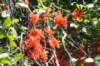 d120829k_0269_small.jpg