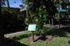 d120829k_0270_small.jpg
