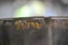 d120829k_0273_small.jpg