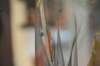 d120829k_0274_small.jpg