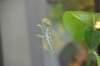 d120829k_0276_small.jpg