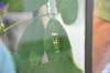 d120829k_0277_small.jpg