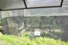 d120829k_0278_small.jpg