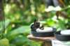 d120829k_0279_small.jpg