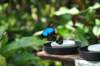 d120829k_0283_small.jpg