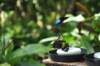 d120829k_0284_small.jpg