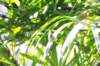 d120829k_0290_small.jpg