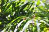 d120829k_0291_small.jpg
