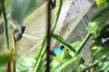 d120829k_0322_small.jpg