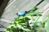 d120829k_0328_small.jpg