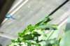 d120829k_0330_small.jpg