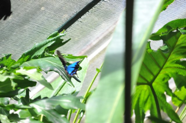 d120829k_0338.jpg