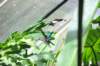d120829k_0339_small.jpg